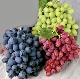 Name:  69D9DB4B-E42F-481B-8D0F-CE6644A288B1.jpeg
Views: 294
Size:  43.7 KB