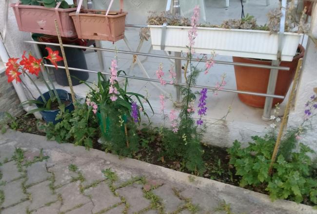 Name:  20210604_194909.jpg
Views: 402
Size:  51.9 KB