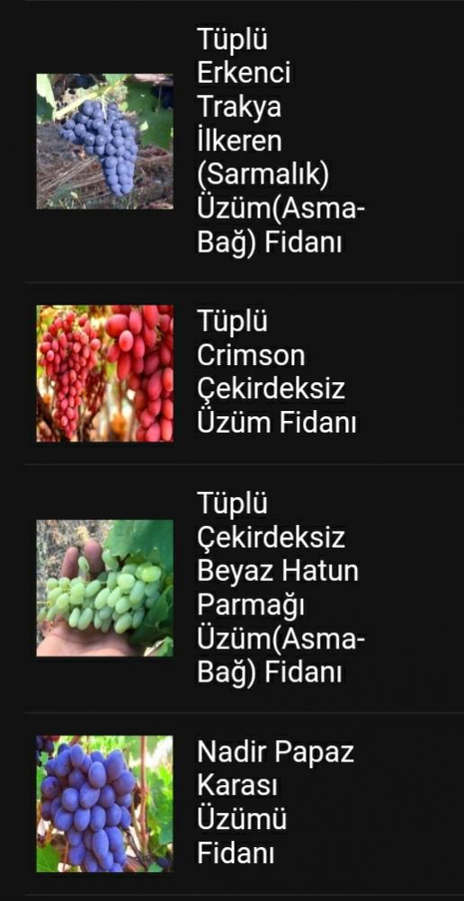 Name:  Screenshot_20210613-190407_Email_copy_517x1004.jpg
Views: 463
Size:  60.8 KB
