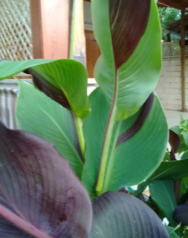 Name:  20210629_141719.jpg
Views: 278
Size:  53.5 KB