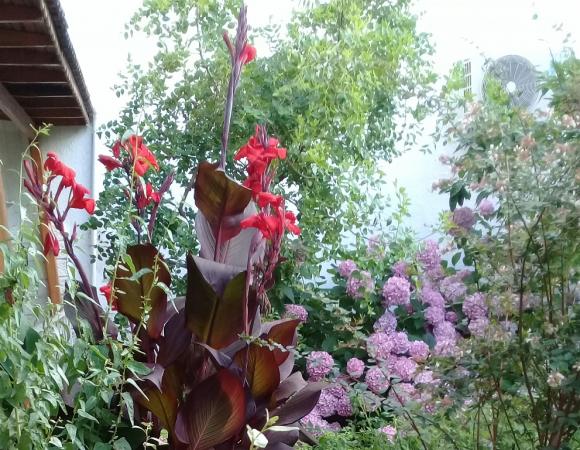 Name:  20210629_141849.jpg
Views: 269
Size:  73.1 KB