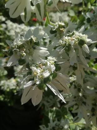 Name:  z1.jpg
Views: 460
Size:  56.1 KB