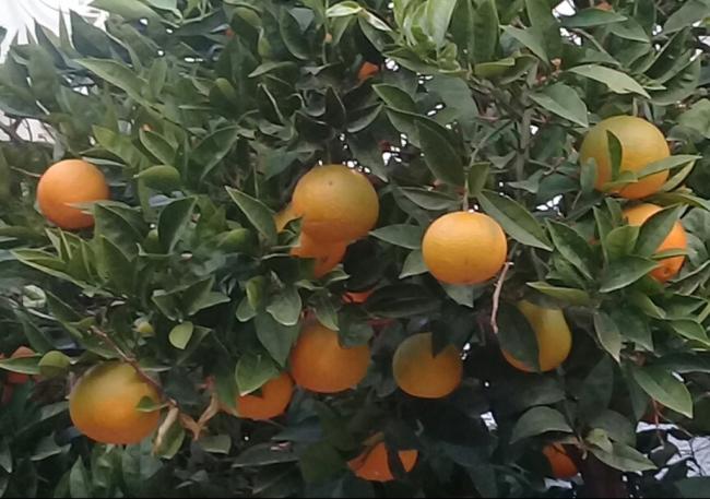 Name:  20211118_170529.jpg
Views: 695
Size:  50.9 KB