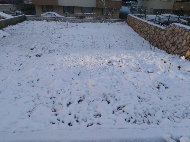 Name:  IMG_20220314_073024.jpg
Views: 325
Size:  40.2 KB