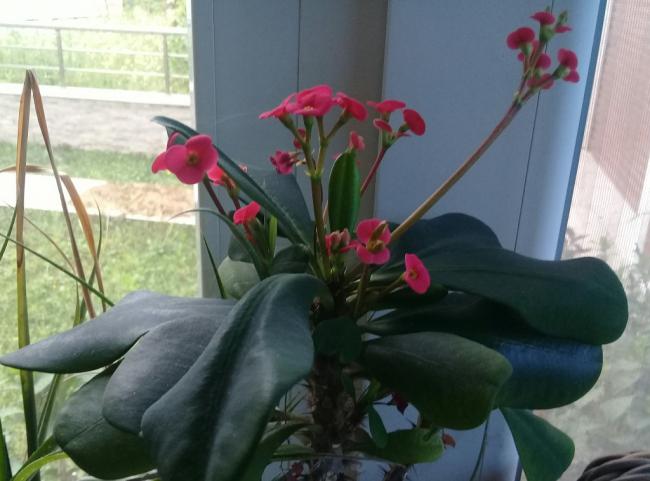 Name:  20220417_182320.jpg
Views: 423
Size:  39.7 KB