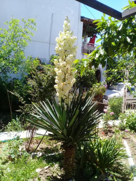 Name:  20220522_130503.jpg
Views: 437
Size:  78.2 KB