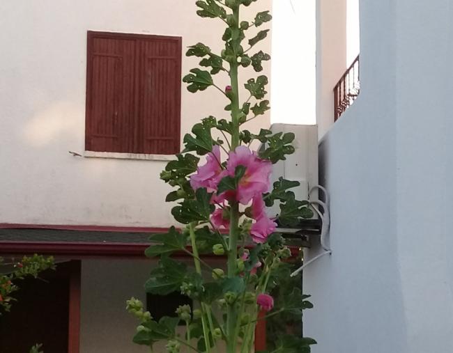 Name:  20220601_200322.jpg
Views: 238
Size:  34.9 KB