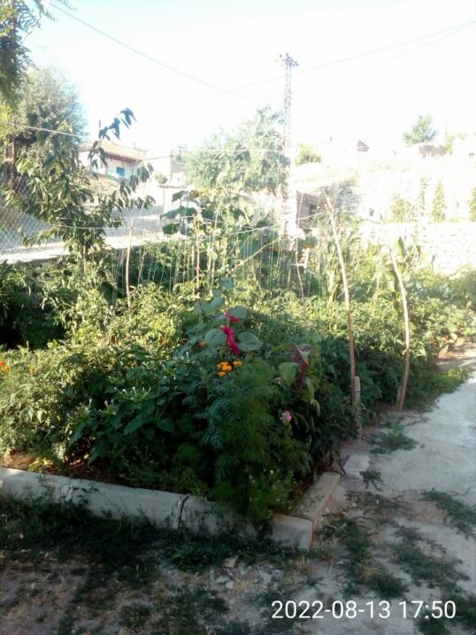 Name:  7152022152042.jpg
Views: 420
Size:  74.3 KB