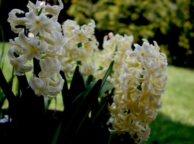 Name:  016.JPG
Views: 2183
Size:  51.9 KB