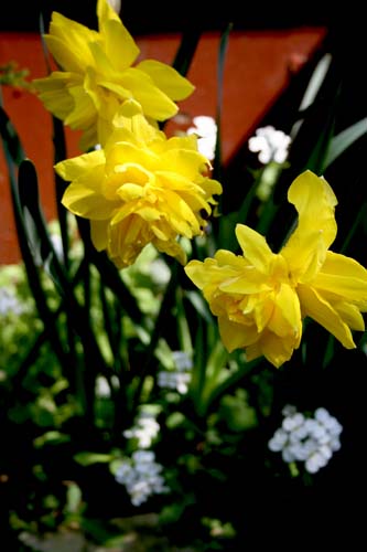 Name:  003.JPG
Views: 1871
Size:  53.0 KB
