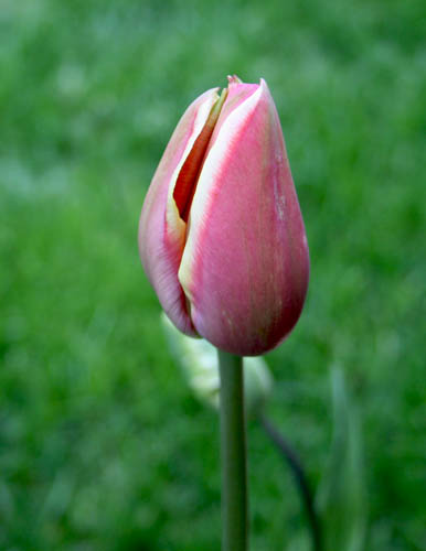 Name:  008.JPG
Views: 1865
Size:  42.5 KB