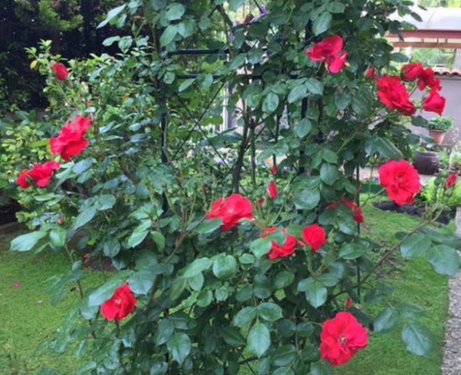 Name:  Ekran Al�nt�s�dfrde45.jpg
Views: 0
Size:  70.1 KB