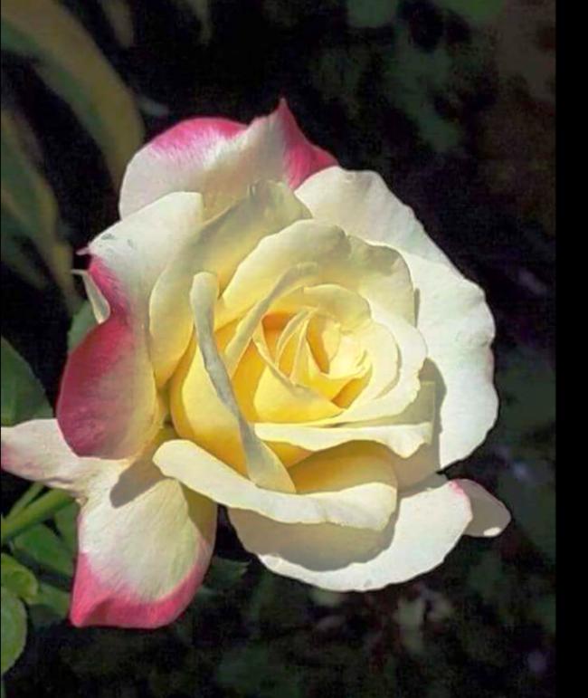 Name:  Ekran Al�nt�s�8u7y65.jpg
Views: 0
Size:  48.6 KB