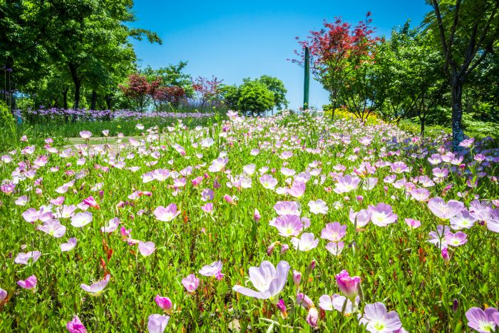 Name:  flowers.jpg
Views: 4
Size:  133.2 KB