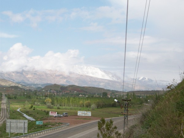 Name:  100_0465 (600 x 450).jpg
Views: 2648
Size:  50.5 KB