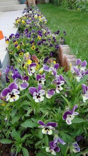 Name:  hercailer yeniden.jpg
Views: 3407
Size:  44.5 KB