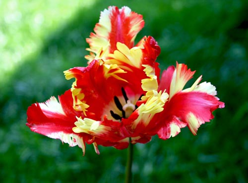 Name:  043.JPG
Views: 1921
Size:  57.6 KB