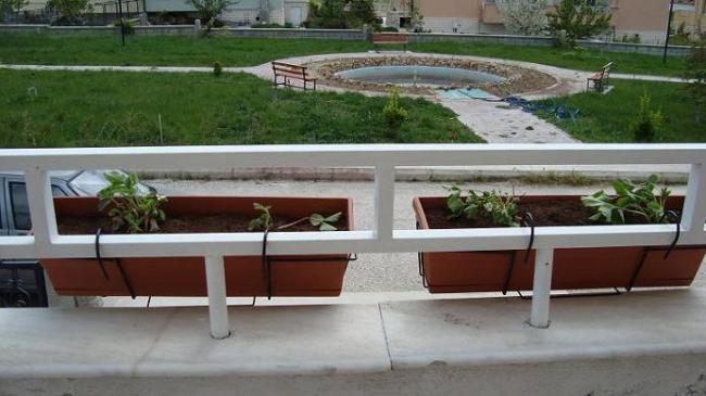 Name:  ilekler.jpg
Views: 2245
Size:  39.7 KB