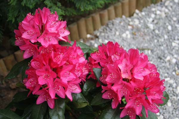 Name:  012.jpg
Views: 5750
Size:  67.5 KB