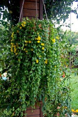 Name: 004.jpg
Views: 2967
Size: 33.0 KB