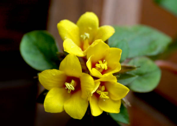 Name:  008.jpg
Views: 4908
Size:  49.6 KB
