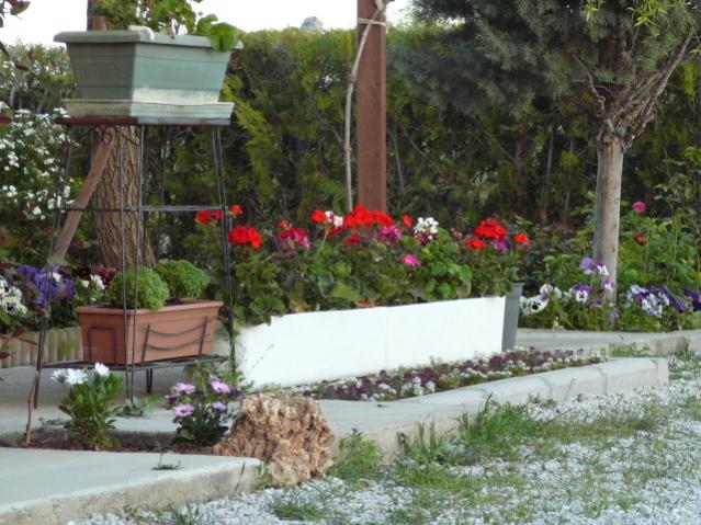 Name:  P1090153.jpg
Views: 1890
Size:  63.7 KB
