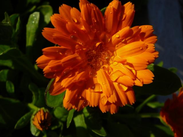 Name:  P1090125.jpg
Views: 1773
Size:  34.5 KB