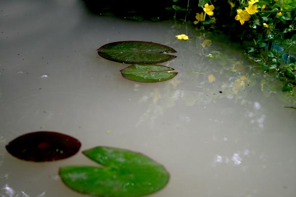 Name:  006.JPG
Views: 1938
Size:  46.5 KB