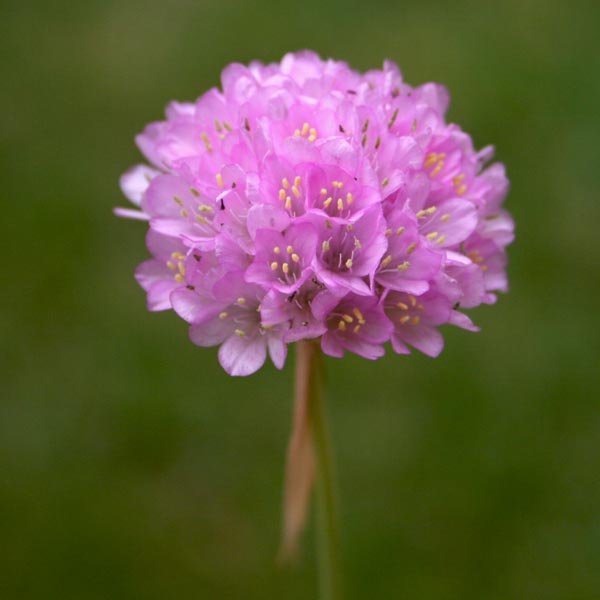 Name:  016.JPG
Views: 2243
Size:  49.6 KB