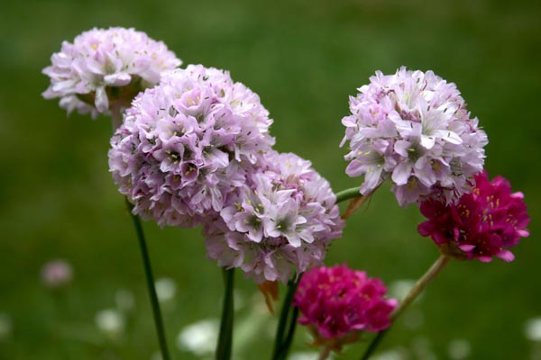 Name:  017.JPG
Views: 2158
Size:  58.2 KB