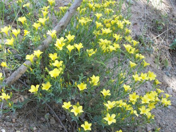 Name:  100_0716.jpg
Views: 7782
Size:  72.5 KB