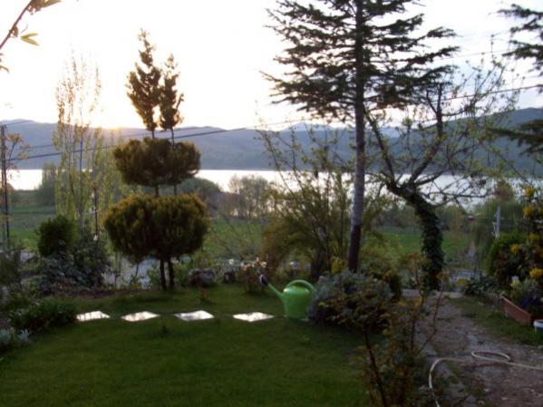 Name:  100_0239 (600 x 450).jpg
Views: 2137
Size:  45.3 KB