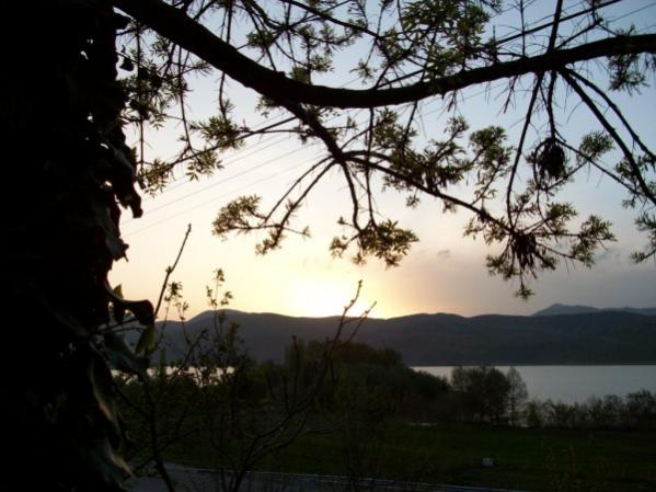 Name:  100_0275 (600 x 450).jpg
Views: 2128
Size:  45.2 KB