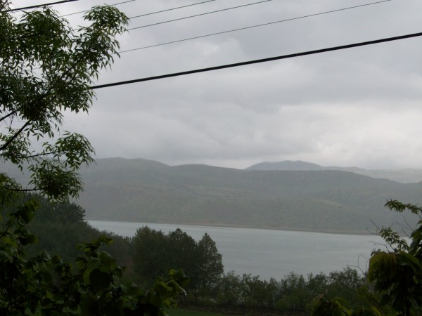 Name:  100_0654 (600 x 450).jpg
Views: 2128
Size:  57.3 KB