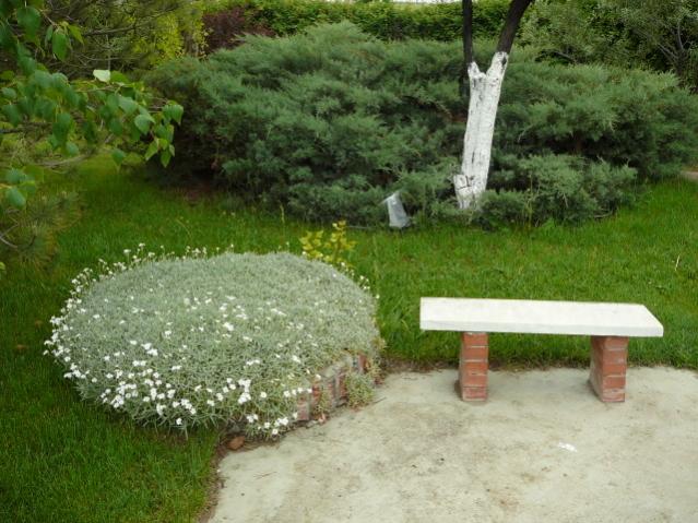 Name:  P1090208.jpg
Views: 1747
Size:  60.2 KB