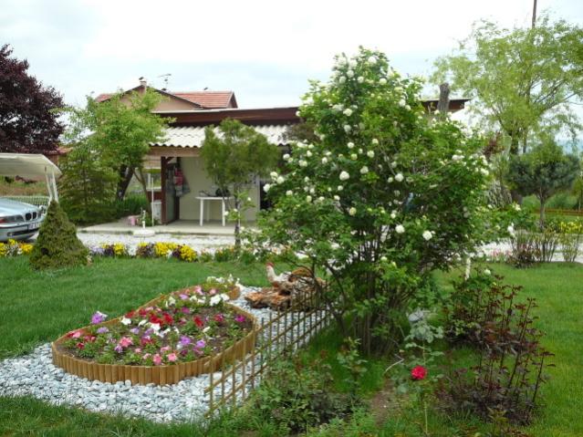 Name:  P1090195.jpg
Views: 1723
Size:  69.2 KB