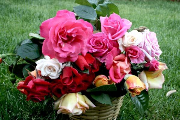 Name:  026.jpg
Views: 2212
Size:  48.7 KB
