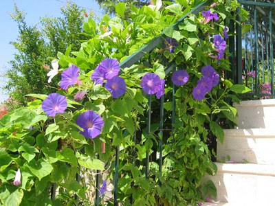 Name:  IMG_0066_00.jpg
Views: 6716
Size:  68.6 KB