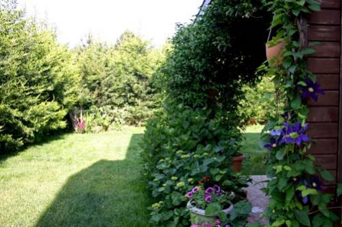 Name:  IMG_4520.jpg
Views: 2255
Size:  37.6 KB