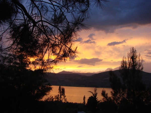 Name:  DSC06749 (600 x 450).jpg
Views: 2138
Size:  70.0 KB