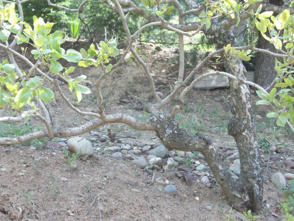Name:  100_0693.jpg
Views: 696
Size:  71.4 KB