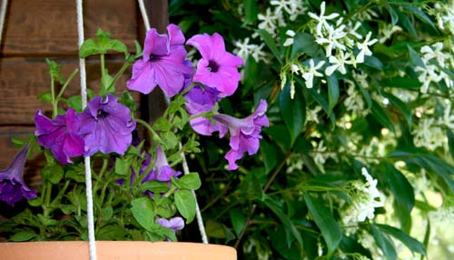 Name:  IMG_4649.JPG
Views: 2378
Size:  60.9 KB