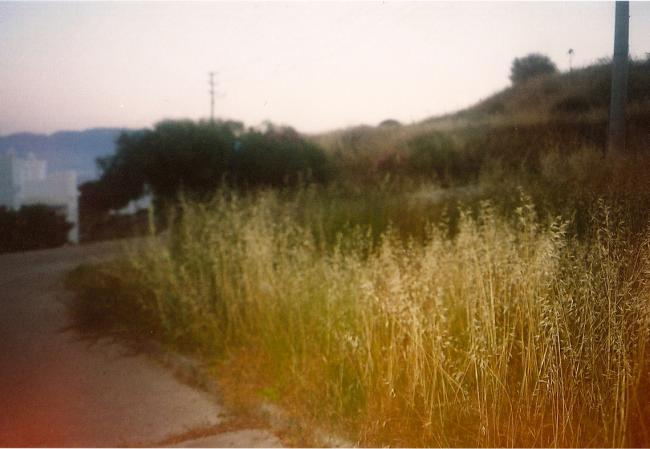 Name:  bahe5.jpg
Views: 1339
Size:  35.5 KB