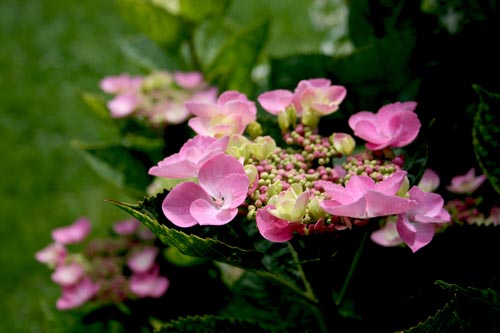 Name:  IMG_4687.JPG
Views: 2894
Size:  49.1 KB