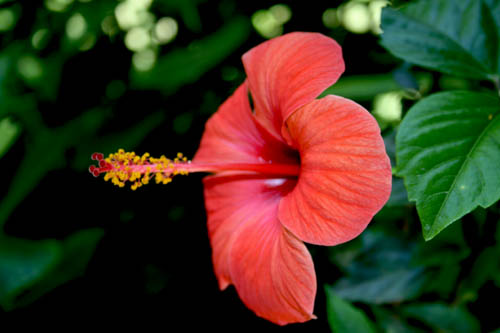 Name:  IMG_4719.JPG
Views: 3008
Size:  45.2 KB