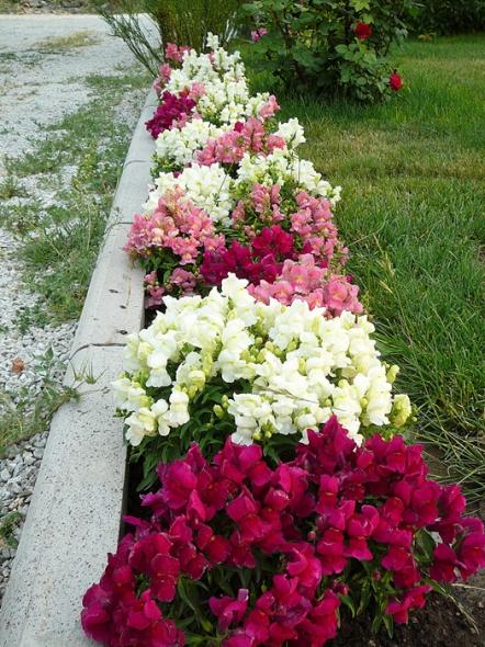 Name:  P1090462.jpg
Views: 1572
Size:  72.9 KB