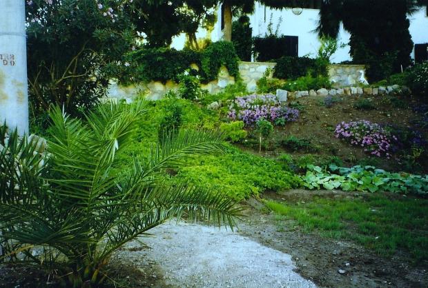 Name:  bahce13.jpg
Views: 1093
Size:  70.8 KB
