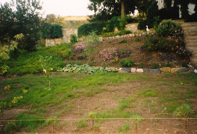 Name:  bahce11.jpg
Views: 1093
Size:  63.9 KB