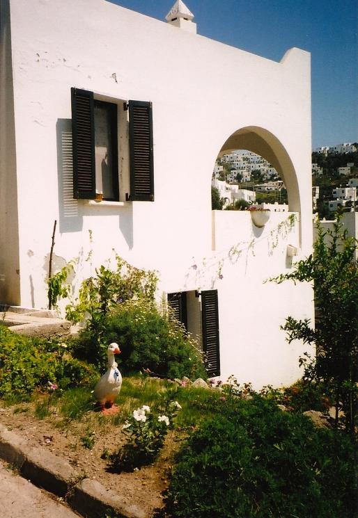 Name:  bahce12.jpg
Views: 1086
Size:  73.3 KB