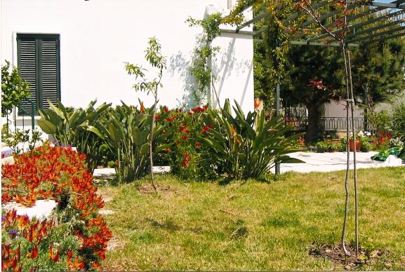 Name:  bahce23.jpg
Views: 1785
Size:  71.2 KB